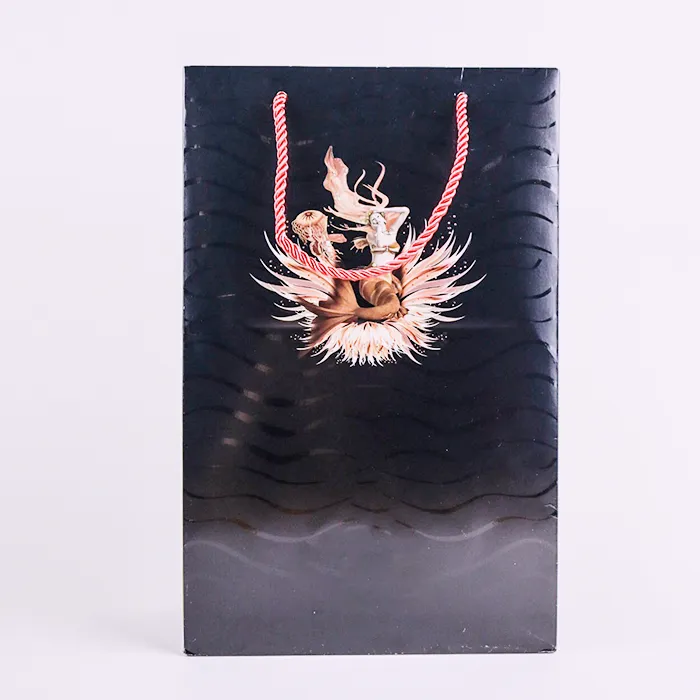 ஃபேஷன் ஷாப்பிங் பை